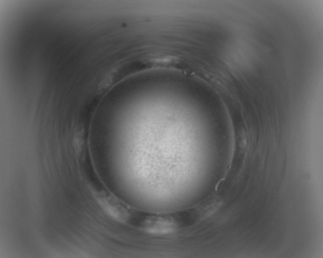 X0000083600559200702091223