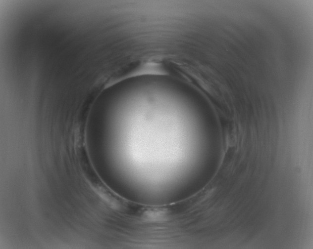 X0000083600560200702091223