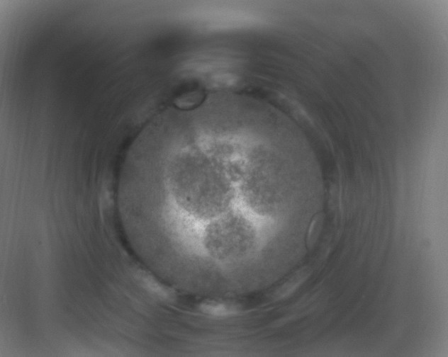 X0000083600561200702091223