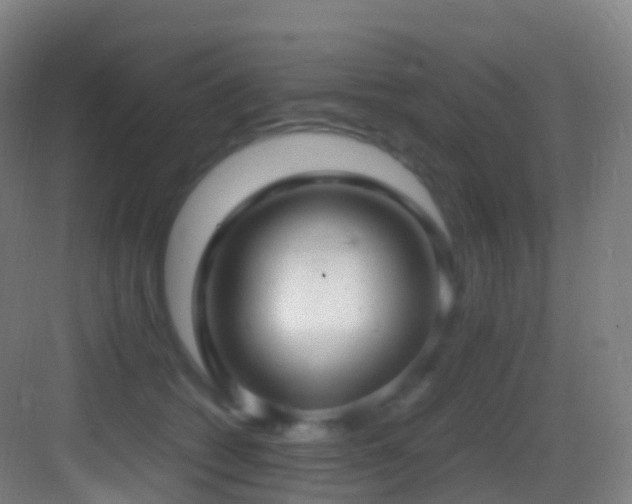 X0000083600562200702091223