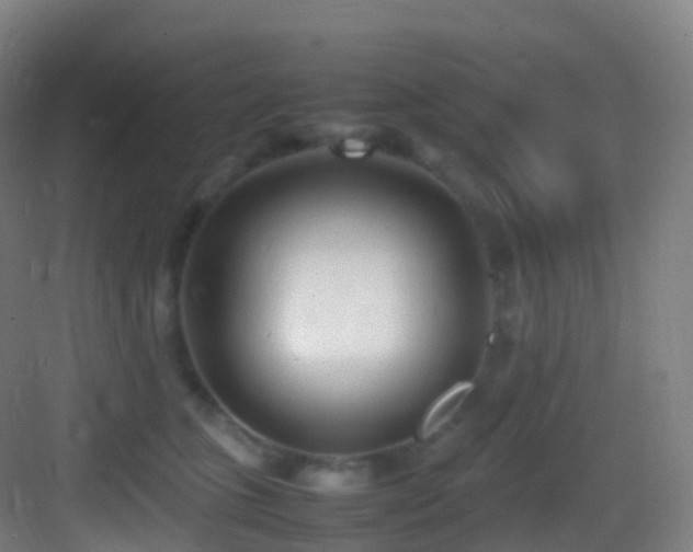 X0000083600563200702091223