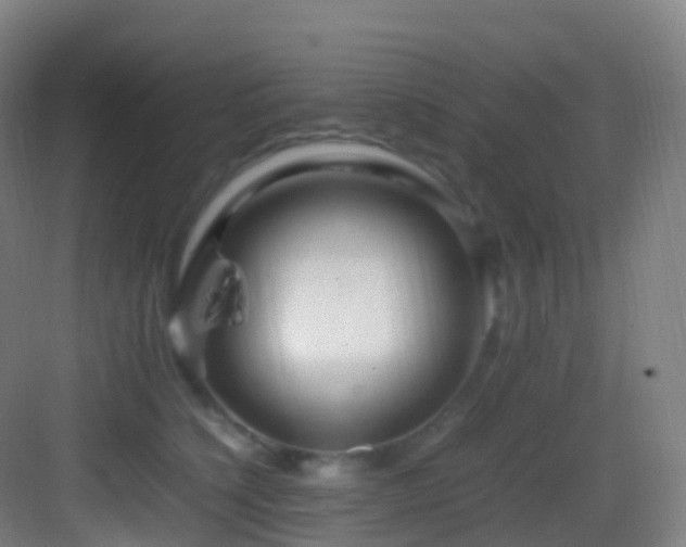 X0000083600564200702091223