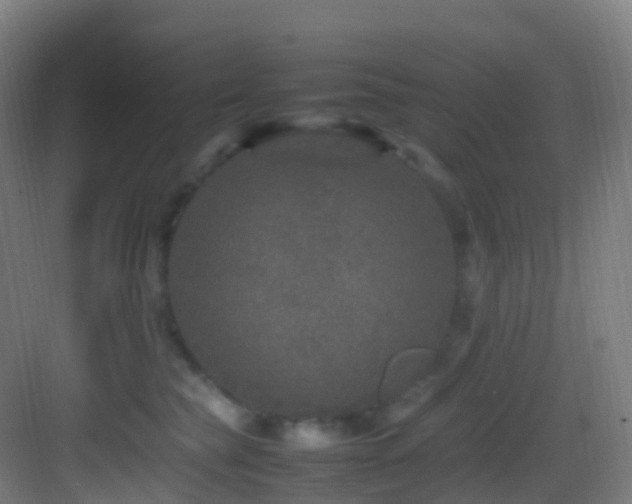 X0000083600565200702091223