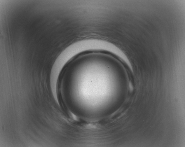 X0000083600566200702091223