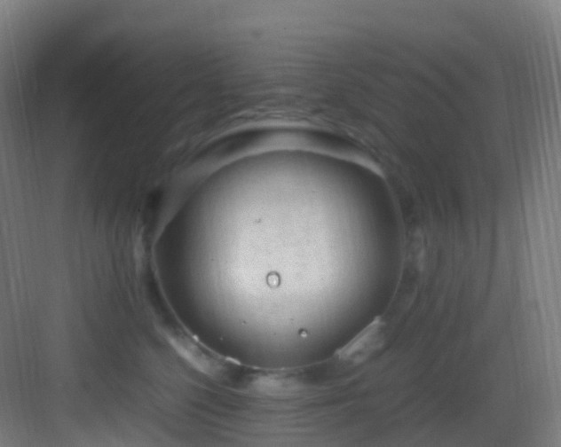 X0000083600568200702091223