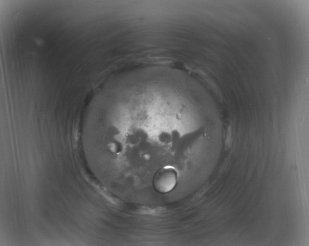 X0000083600569200702091223