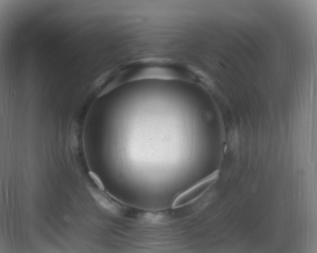 X0000083600570200702091223