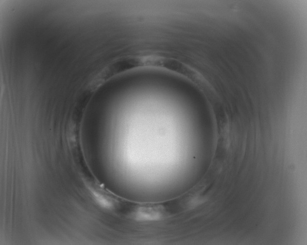 X0000083600571200702091223