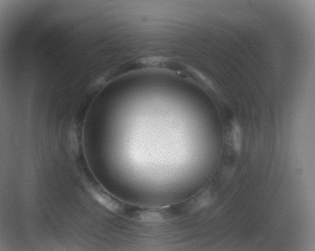 X0000083600572200702091223