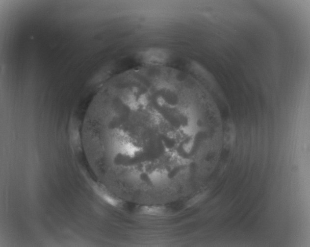 X0000083600573200702091223