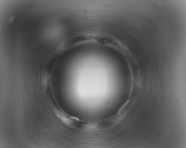 X0000083600574200702091223