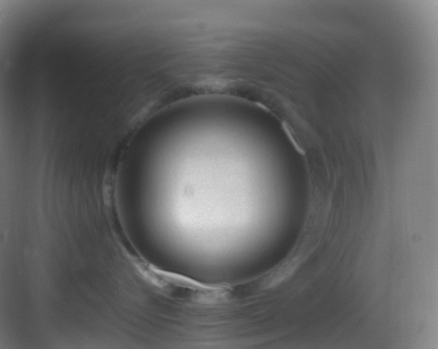 X0000083600576200702091223