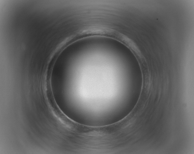 X0000083600578200702091222