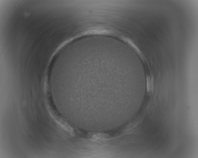 X0000083600579200702091222