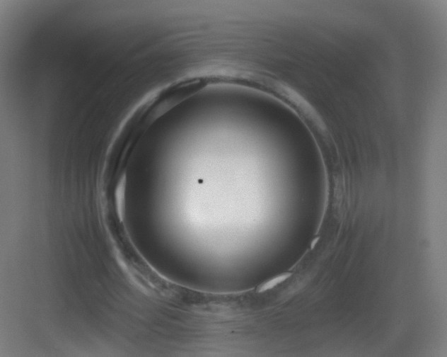 X0000083600580200702091222