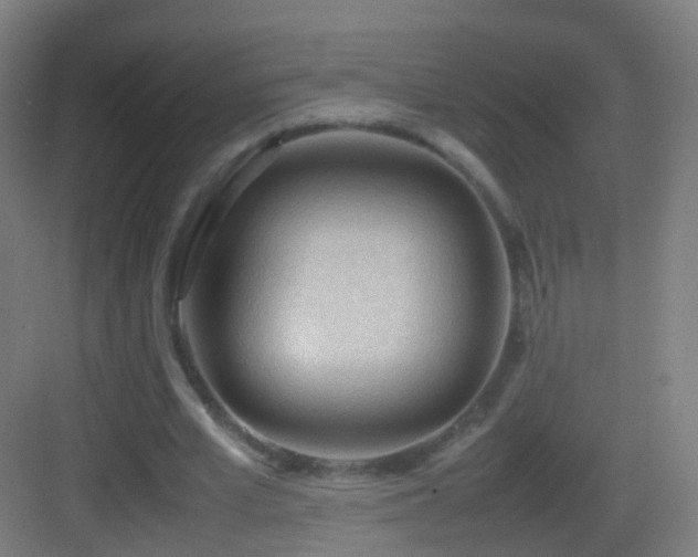 X0000083600581200702091222