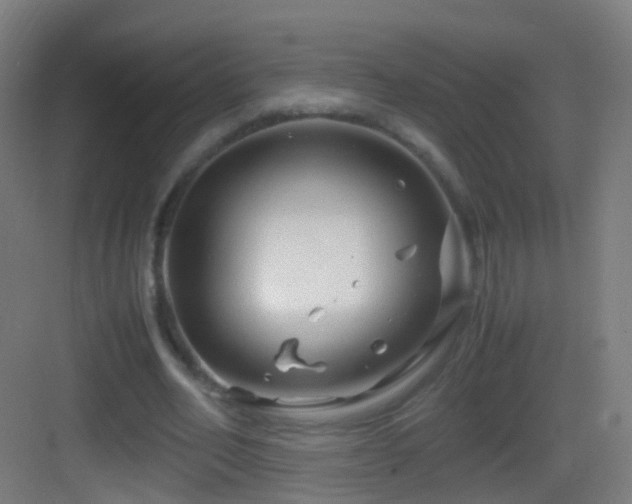 X0000083600582200702091222