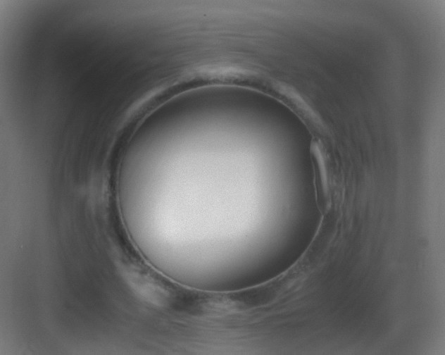 X0000083600583200702091222