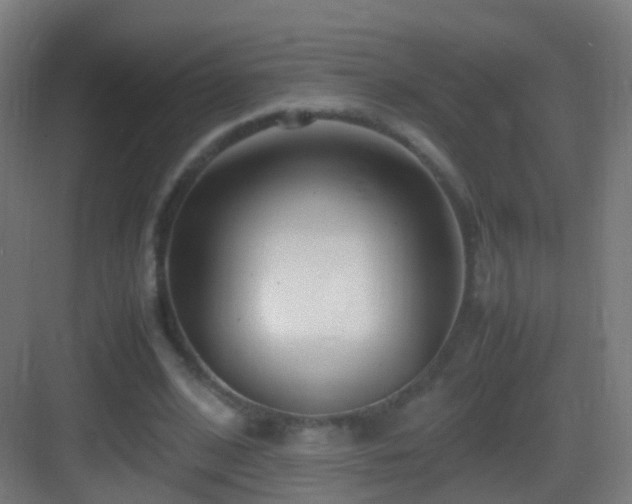 X0000083600584200702091222