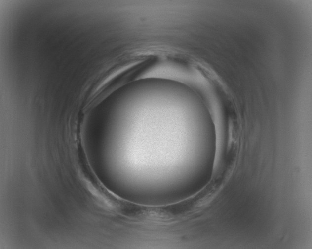 X0000083600585200702091222