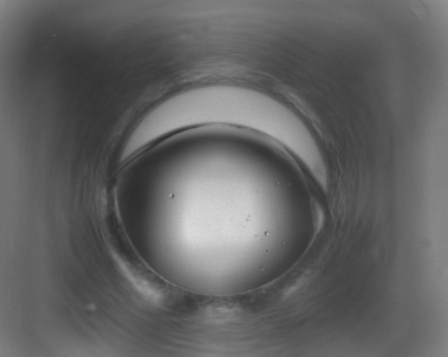 X0000083600586200702091222