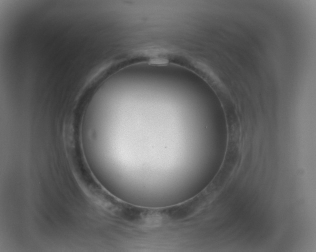 X0000083600587200702091222