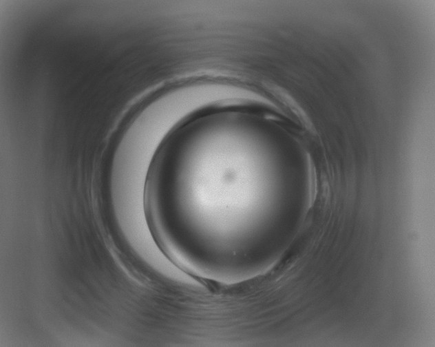 X0000083600588200702091222