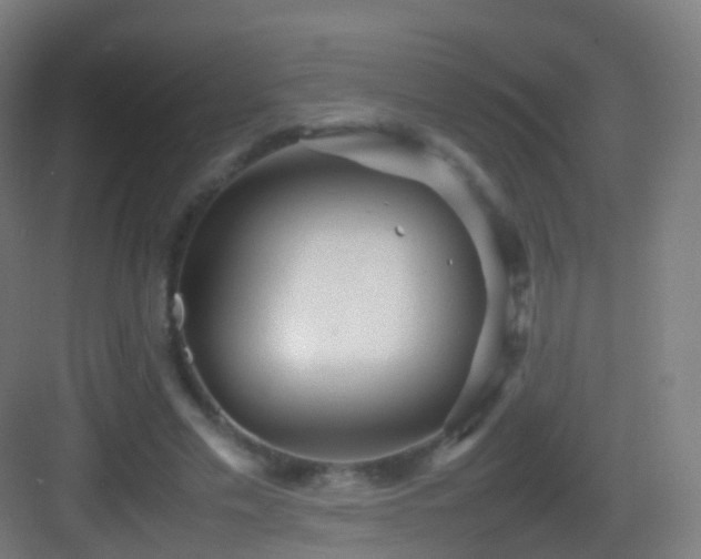 X0000083600589200702091222