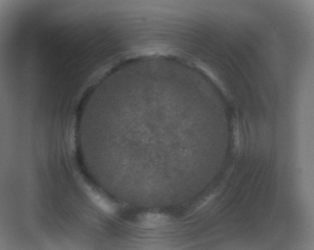 X0000083600590200702091222