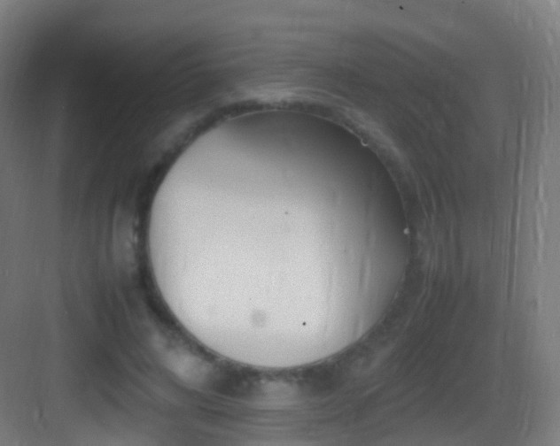 X0000083600592200702091222