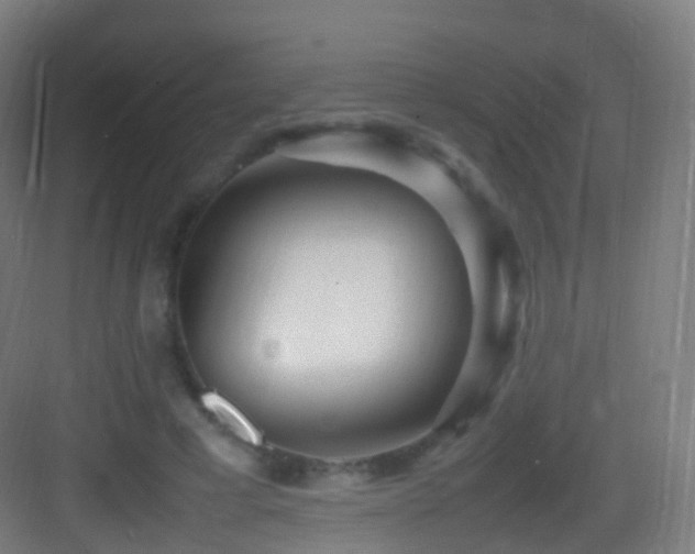 X0000083600593200702091222