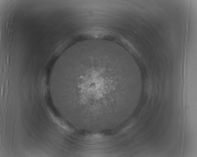 X0000083600594200702091222