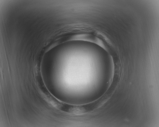 X0000083600597200702091222