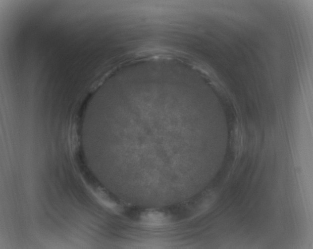 X0000083600598200702091222