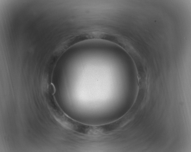 X0000083600599200702091222