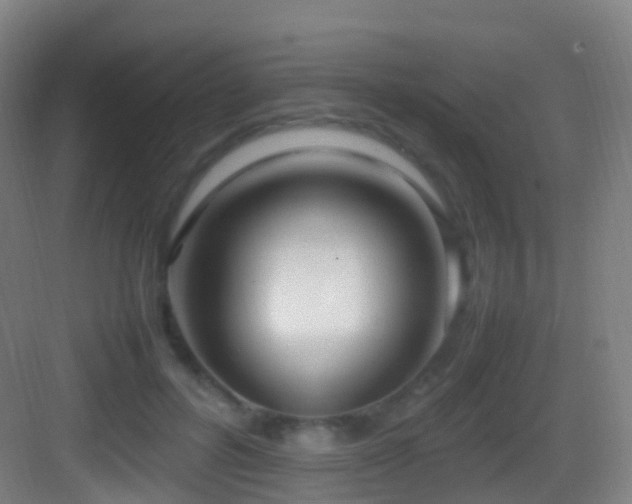 X0000083600600200702091222