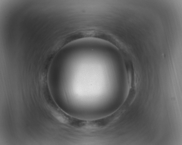 X0000083600601200702091222