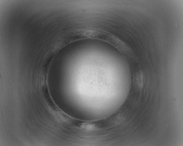 X0000083600602200702091222