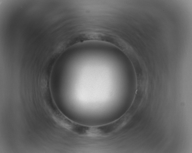 X0000083600603200702091222