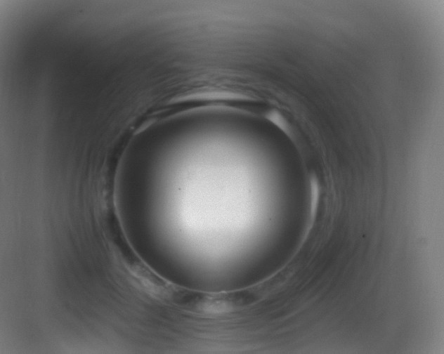 X0000083600604200702091222