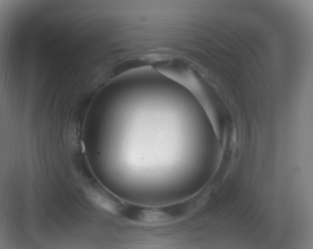 X0000083600605200702091222