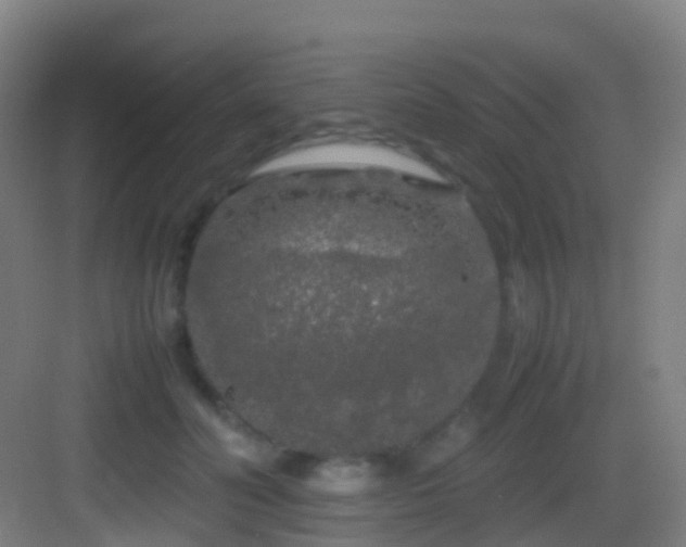 X0000083600606200702091222