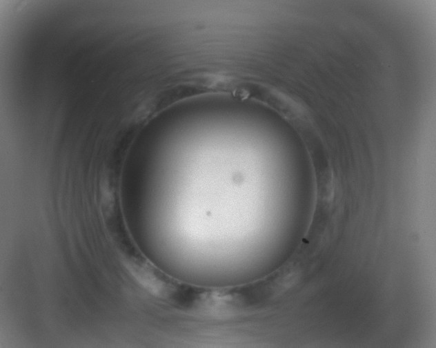 X0000083600607200702091222