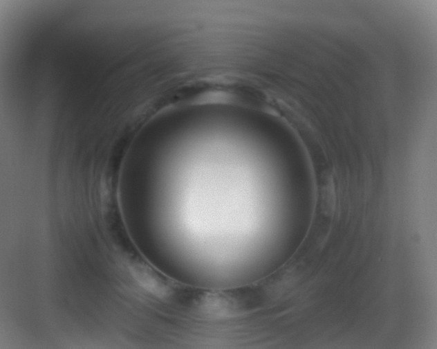 X0000083600608200702091222