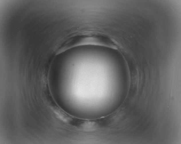 X0000083600609200702091222