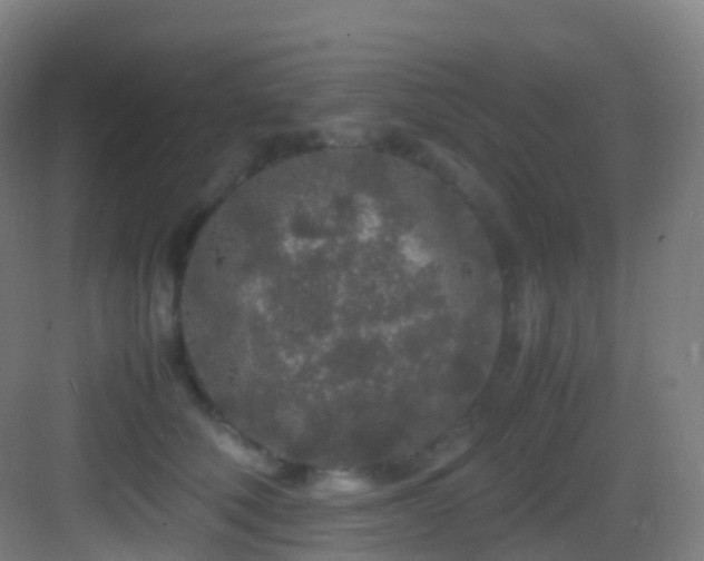 X0000083600610200702091222