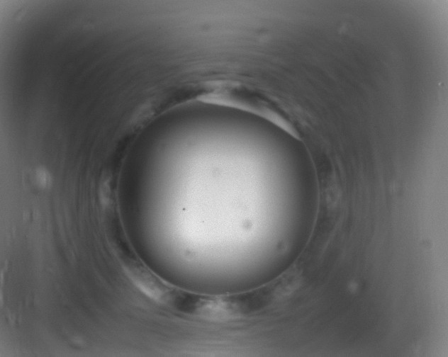 X0000083600611200702091222