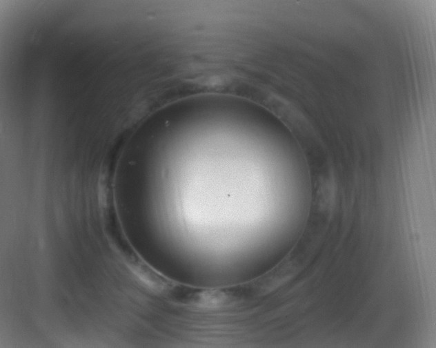 X0000083600612200702091222