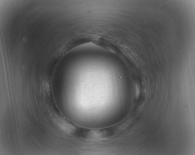 X0000083600613200702091222