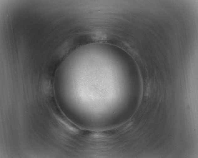 X0000083600614200702091222